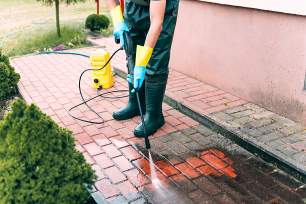 Best Pressure Washing Driveway  in Grand Rapids, MI