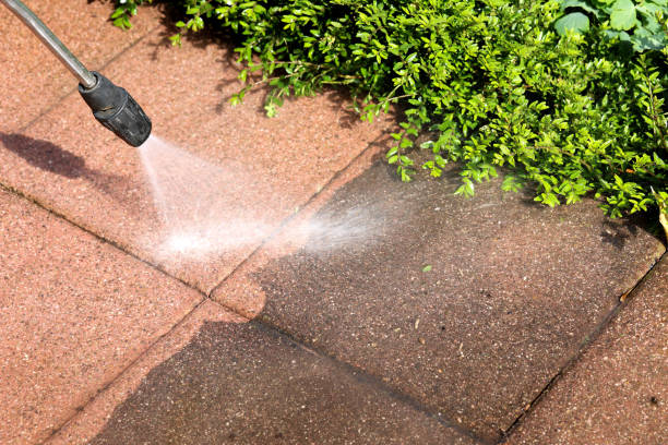 Best Roof Pressure Washing  in Grand Rapids, MI